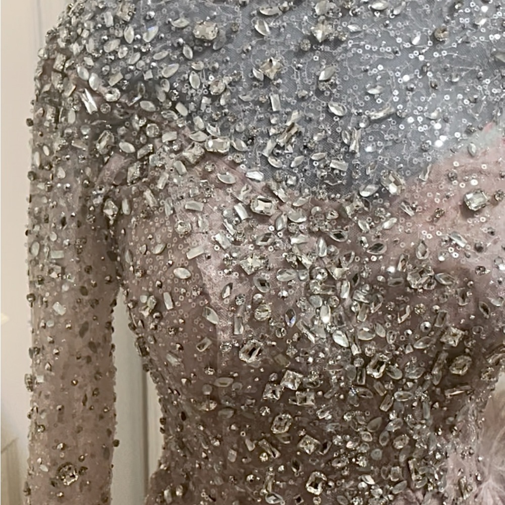 Elegant Silver Embellished Dress